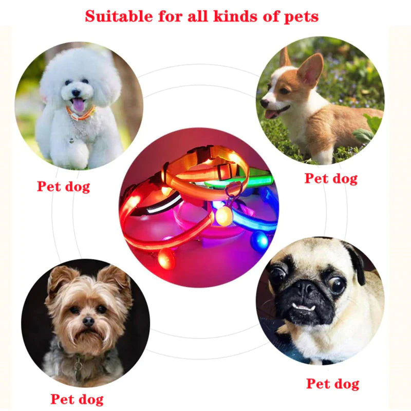 Glow-in-the-Dark LED Adjustable Dog Collar - Waterproof & Safety Flashing Light for Pets