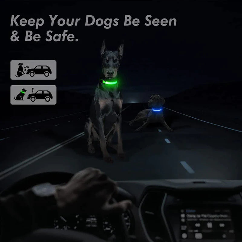 Glow-in-the-Dark LED Adjustable Dog Collar - Waterproof & Safety Flashing Light for Pets