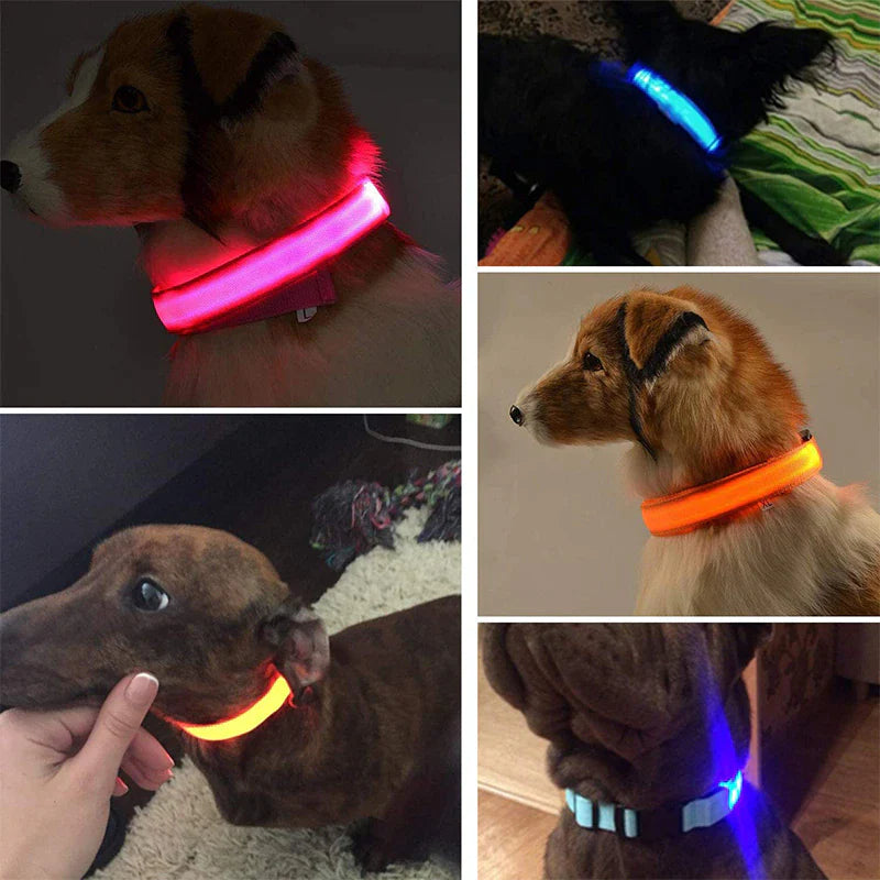 Glow-in-the-Dark LED Adjustable Dog Collar - Waterproof & Safety Flashing Light for Pets