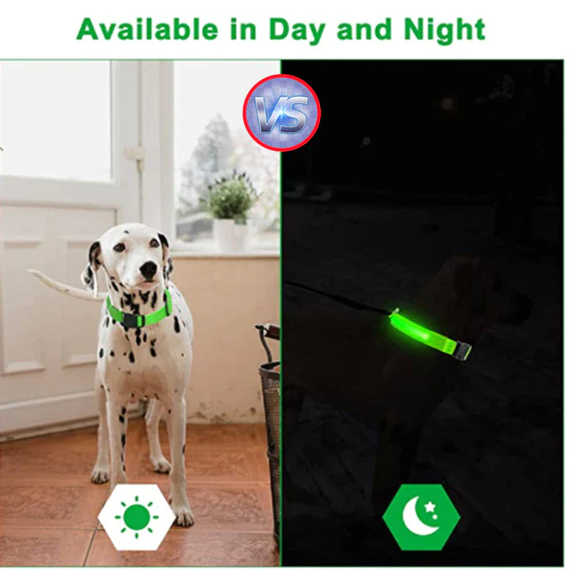 Glow-in-the-Dark LED Adjustable Dog Collar - Waterproof & Safety Flashing Light for Pets